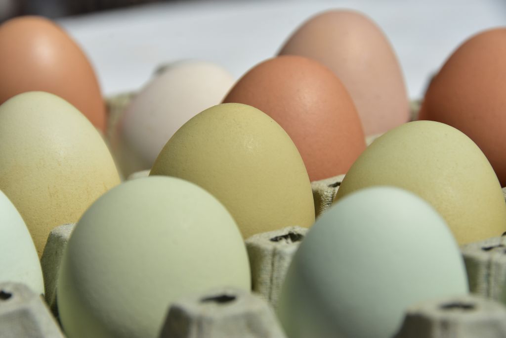 Γιατί τα αυγά δεν επιβαρύνουν καρδιά και αγγεία