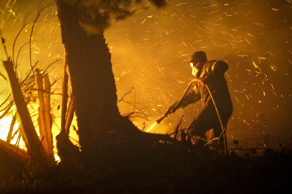 Κύκλωμα εμπρηστών έβαζε φωτιές για καταπάτηση δασικών εκτάσεων