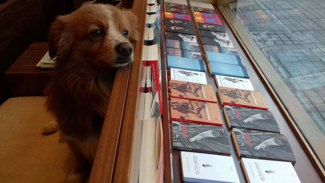 Εκδόσεις Ινδικτος (Καλλιδρομίου 64)