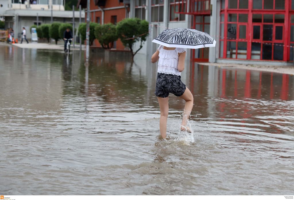 Ζημιά άνω των 200.000 για τους εκθέτες της Ανθοέκθεσης στη ΔΕΘ