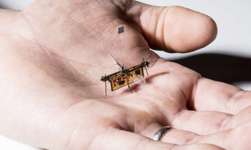 Πέταξε το Robofly, το πρώτο ασύρματο ρομποτικό έντομο (video)