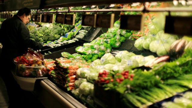 Γνωριμία με το κίνημα του βιγκανισμού στην Ελλάδα