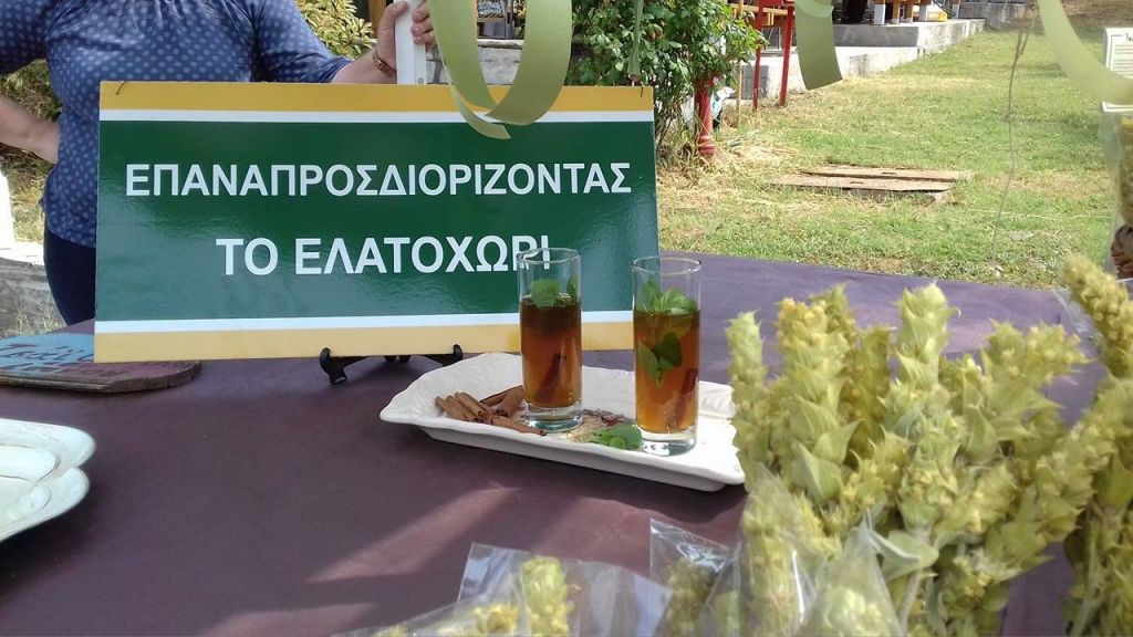 Τσάι Ολύμπου: Το νέο brand για το Ελατοχώρι