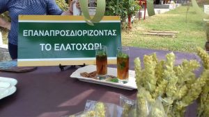 Τσάι Ολύμπου: Το νέο brand για το Ελατοχώρι