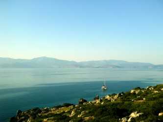 Περιοχή ΙΜΜΑ (σημαντική) για τα θαλάσσια θηλαστικά είναι ο Κορινθιακός Κόλπος