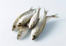 Γόπες πλακί στο τηγάνι