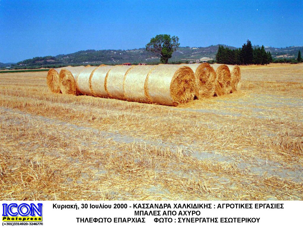 Ηλεκτρική ενέργεια από άχυρο στο θεσσαλικό κάμπο