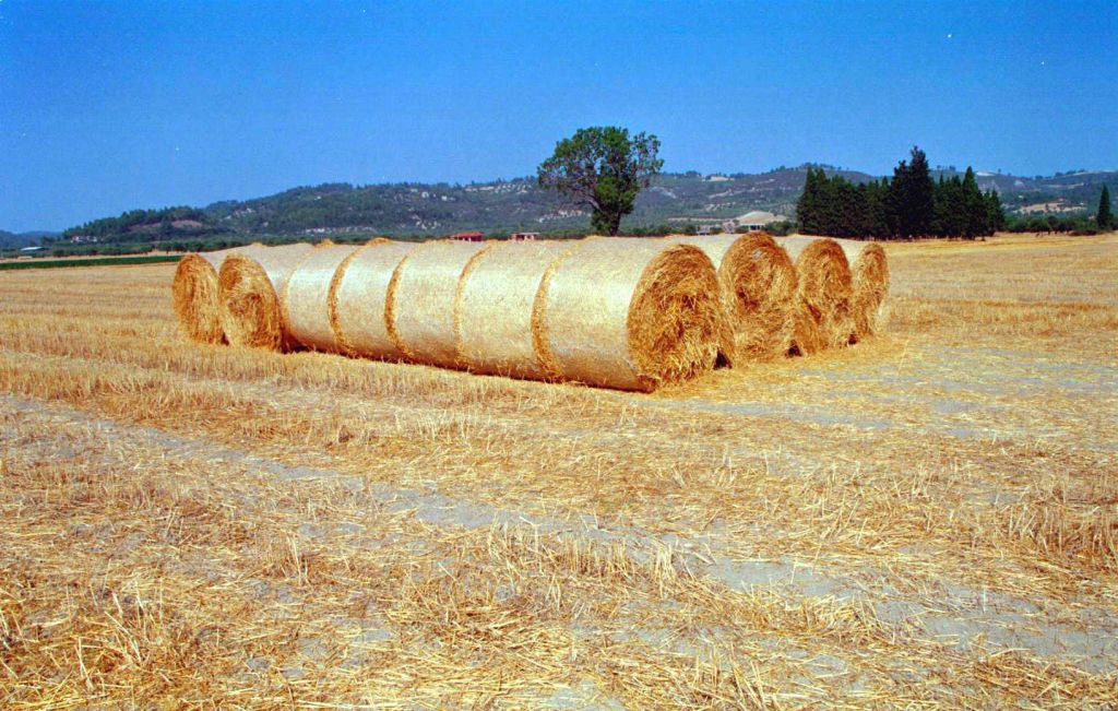 Θα παράγουν ηλεκτρική ενέργεια από… άχυρα στο νομό Λάρισας