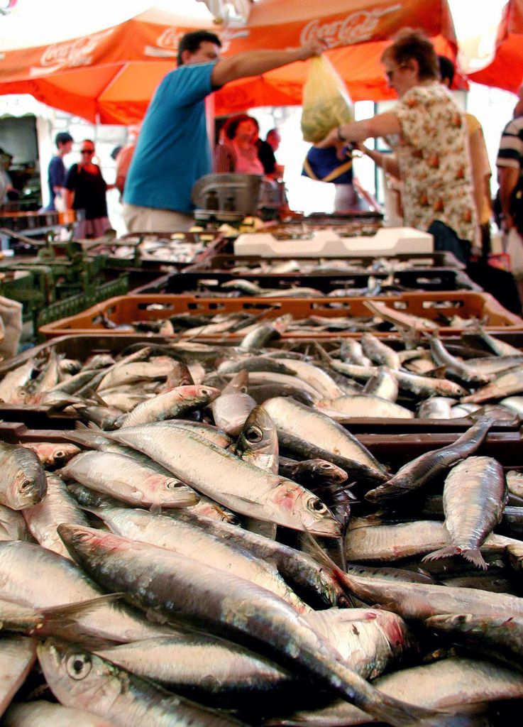 Σαρδέλες στο φούρνο με ντομάτα