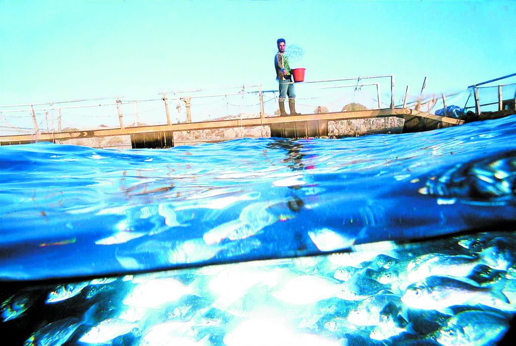 Υπογράφηκε η συμφωνία εξαγοράς Νηρέα και Σελόντα