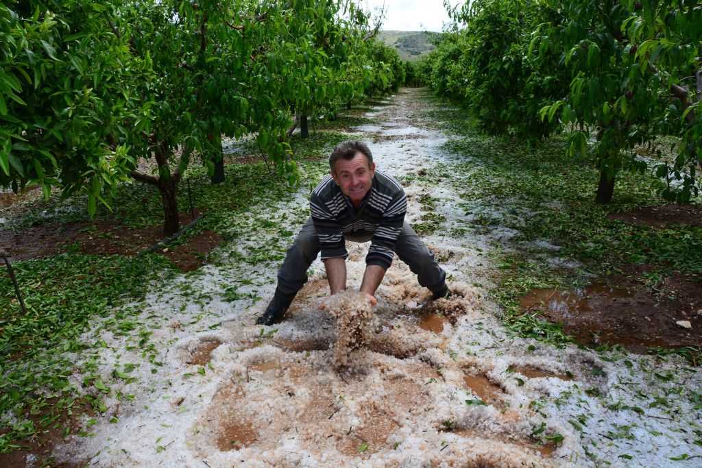 Το χαλάζι κατέστρεψε χιλιάδες στρέμματα στα Τρίκαλα