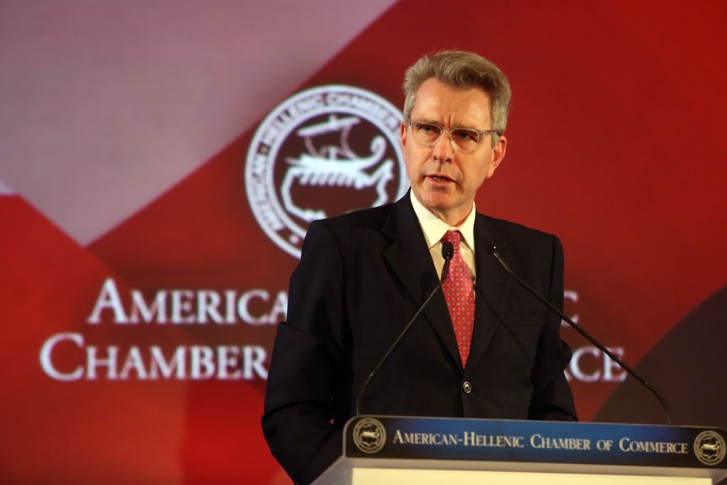 Πάιατ: Οι ΗΠΑ υποστηρίζουν τις προσπάθειες του Μάθιου Νίμιτς