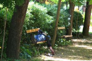 Ο εφιάλτης κατασκήνωσε στο πάρκο