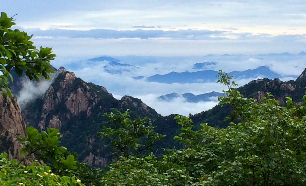 Κίνα: Drones στην υπηρεσία εντοπισμού άρρωστων πεύκων