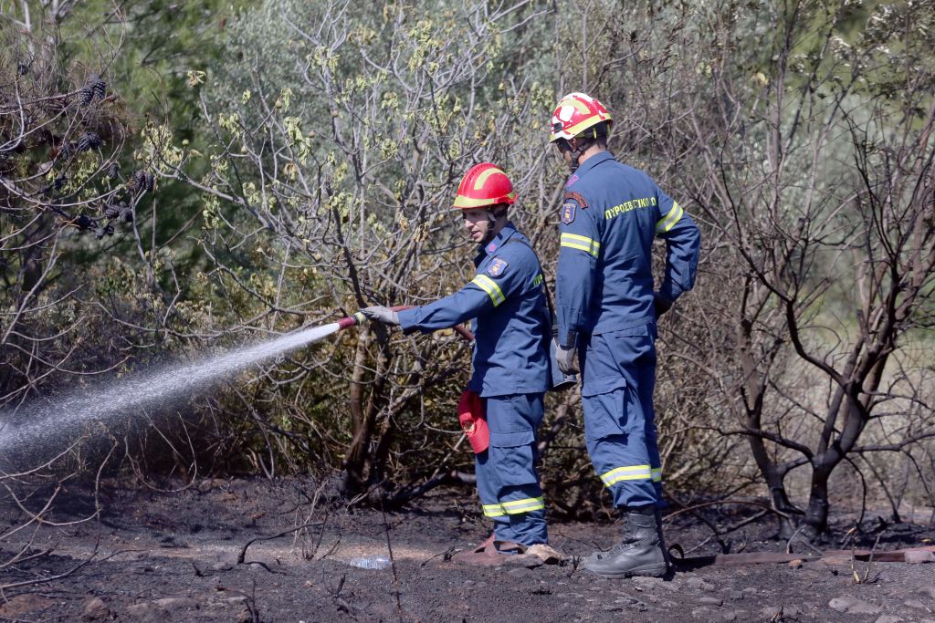 Πάτρα: Υπό μερικό έλεγχο η πυρκαγιά στην περιοχή Ριγανόκαμπος
