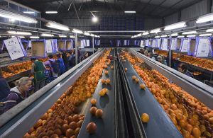 Με απλή γνωστοποίηση η έναρξη λειτουργίας μεταποιητικών επιχειρήσεων