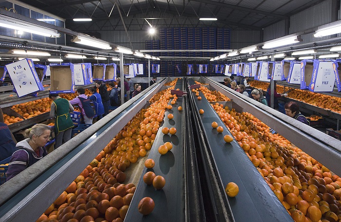 Με απλή γνωστοποίηση η έναρξη λειτουργίας μεταποιητικών επιχειρήσεων