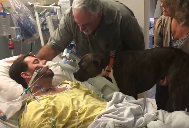 Συγκινητικό βίντεο: Ο σκύλος αποχαιρετά το αφεντικό του που πεθαίνει