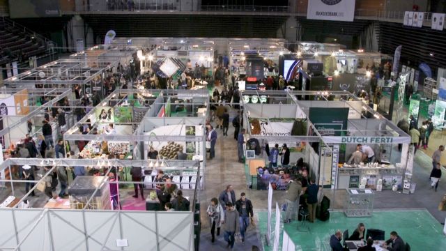 Μύθοι και αλήθειες για την «παρεξηγημένη» κάνναβη