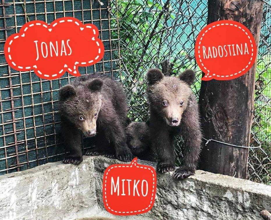 Τα άγρια «μωρά» του Νυμφαίου