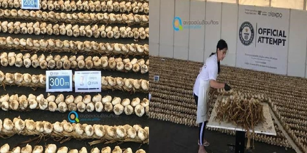 Νέα Βύσσα: Ρεκόρ Γκίνες για πλεξούδα σκόρδων 612 μέτρων και 70 εκ.