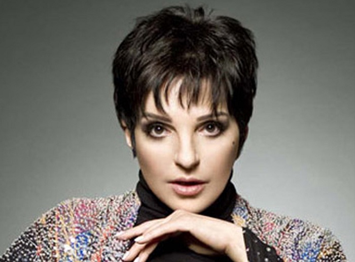 Η Λάιζα Μινέλι πουλάει τους Γουόρχολ της