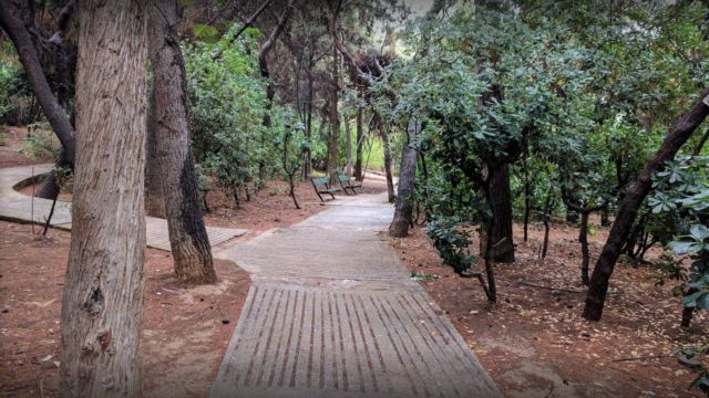 Αλσος Παγκρατίου