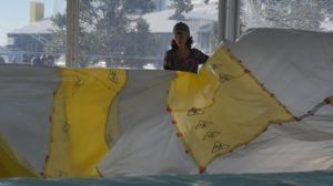 Η τέχνη της Μπράιντι Ρουντ δίνει ένα ηχηρό οικολογικό μήνυμα