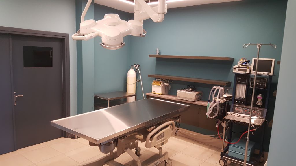 Το πρώτο εξειδικευμένο κτηνιατρείο άγριων θηλαστικών από τον Αρκτούρο