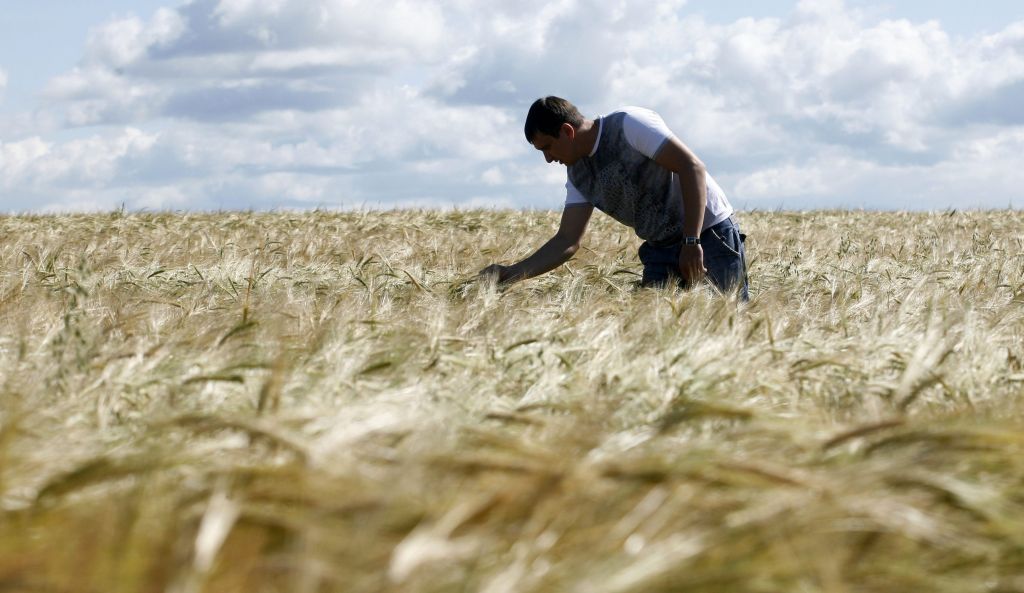 Στους 54 εκατ. τόνους οι ρωσικές εξαγωγές σιτηρών