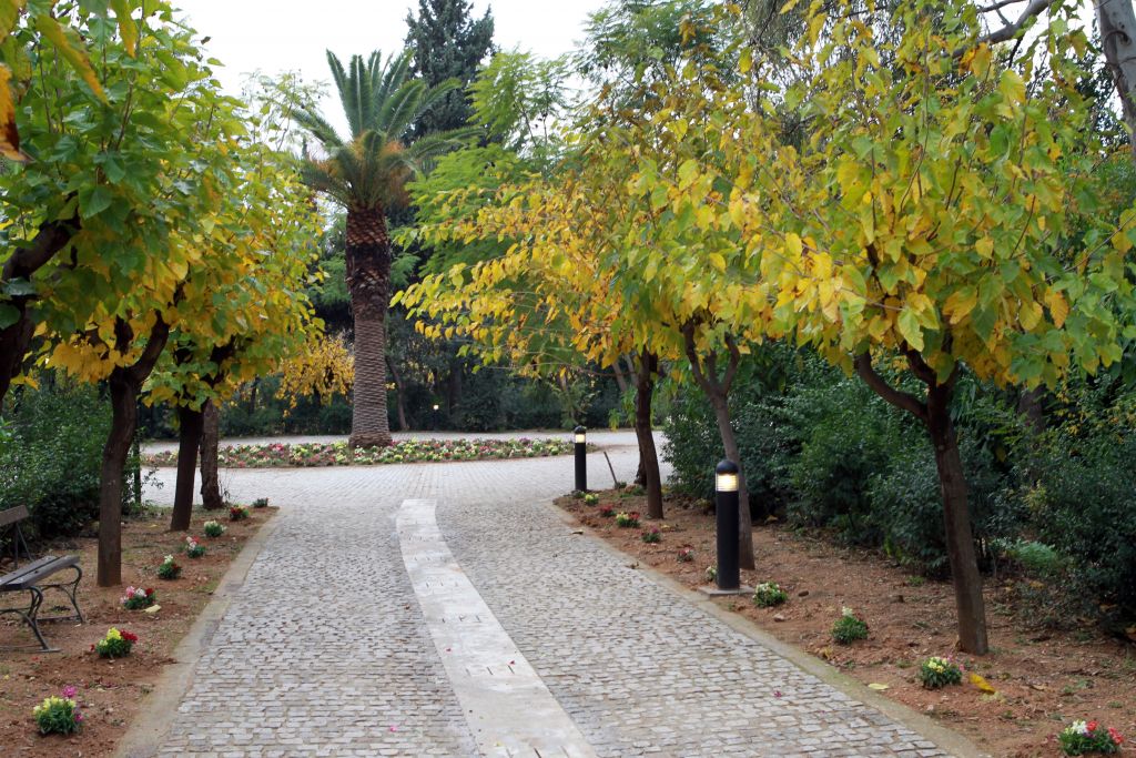 Αγώνας δρόμου και άλλες εκδηλώσεις στο Πεδίο του Αρεως