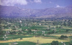 The ‘forest’ of windmills at UNESCO’s doorstep