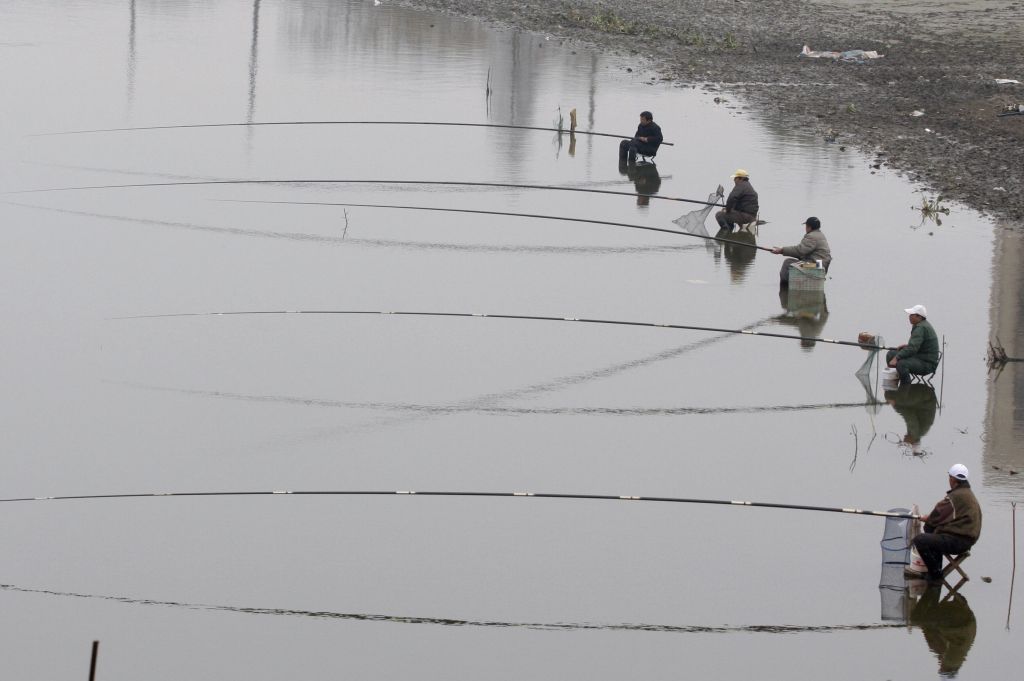 Κίνα: Προστατεύοντας τη θαλάσσια ζωή από την υπεραλίευση