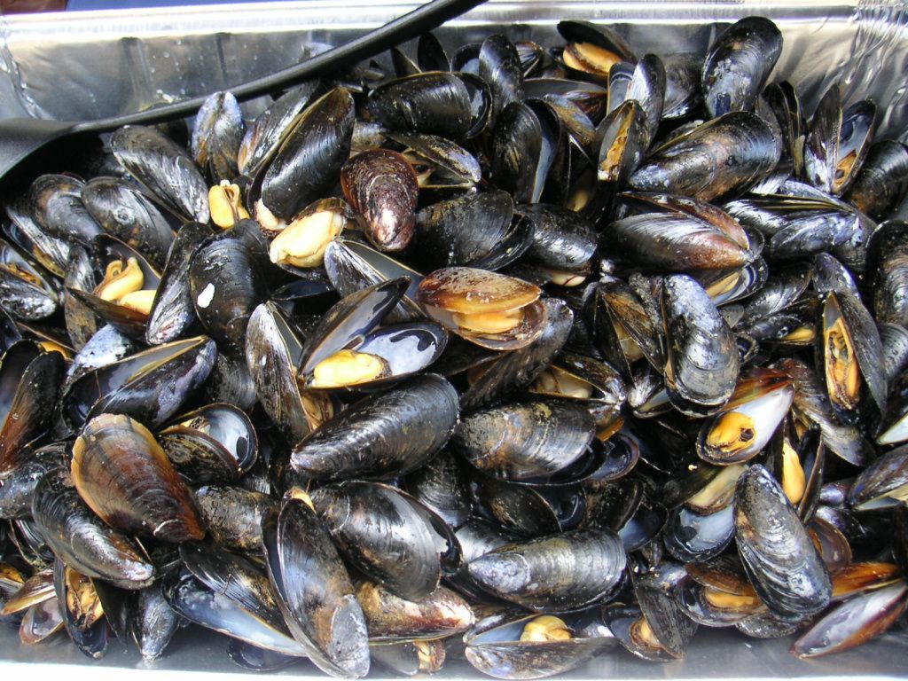 Θεσσαλονίκη: Ελεγχοι για διοξίνες σε μύδια και οστρακοειδή