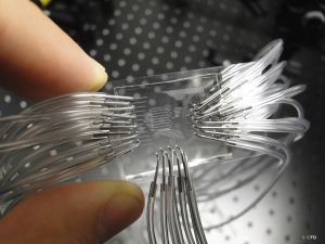 Στον «Δημόκριτο» το 6ο Ελληνικό Φόρουμ Επιστήμης, Τεχνολογίας και Καινοτομίας