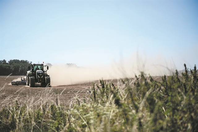 Ο καύσωνας έβαλε φωτιά στα τρόφιμα