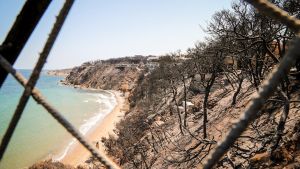 Ποιος αναλαμβάνει το ταμείο των πυρόπληκτων;