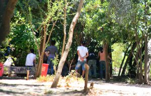 Πεδίον Αρεως: Σε 231 συλλήψεις έχει προχωρήσει μέχρι στιγμής η αστυνομία