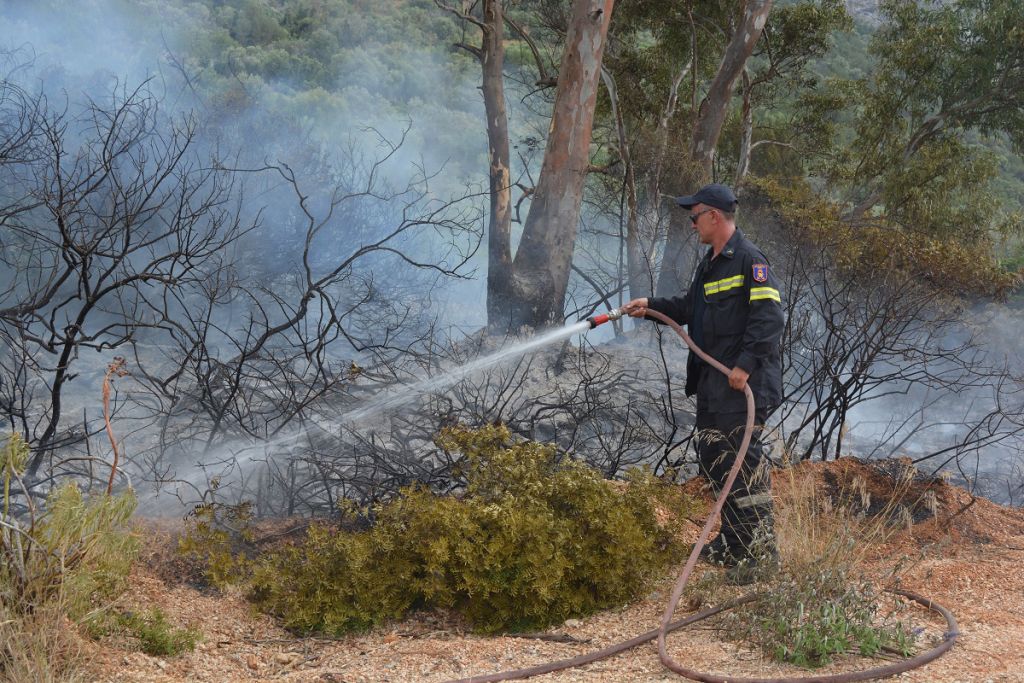 Σε ύφεση, αλλά με αναζωπυρώσεις, η πυρκαγιά στη Σητεία