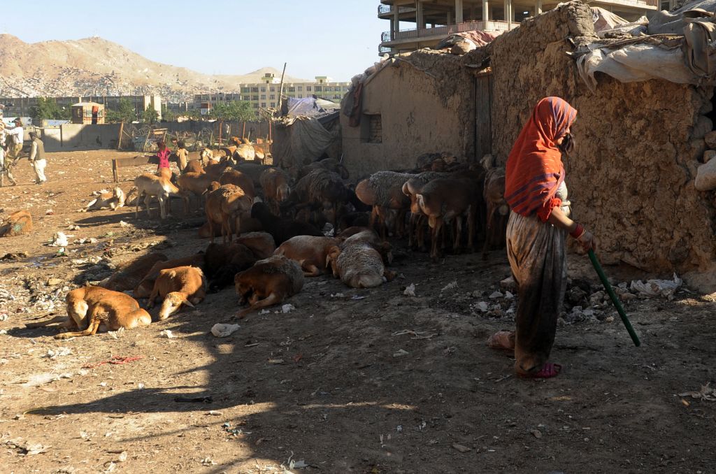 Τον απέλασαν από την Γερμανία και έβαλε τέρμα στη ζωή του