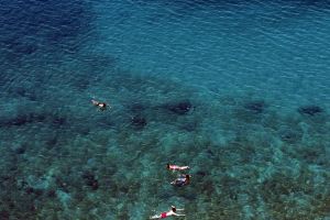 Η Μεσόγειος εκπέμπει SOS