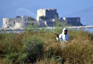 Δυο νέα κρούσματα του ιού του Δυτικού Νείλου στην Κεντρική Μακεδονία