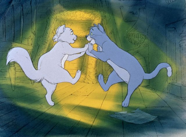 «Αριστογάτες» στο Ξέφωτο του πάρκου