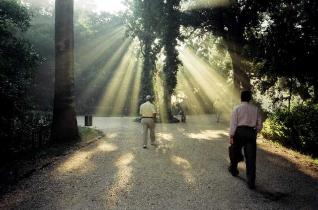 Να ταΐσουμε πάλι τις πάπιες