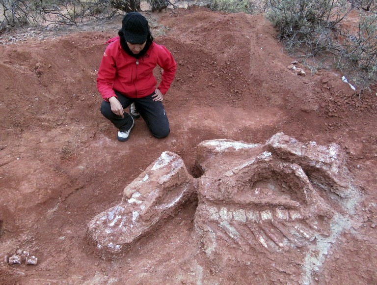 Ανακαλύφθηκε γιγαντιαίος δεινόσαυρος ηλικίας άνω των 200 εκατ. ετών