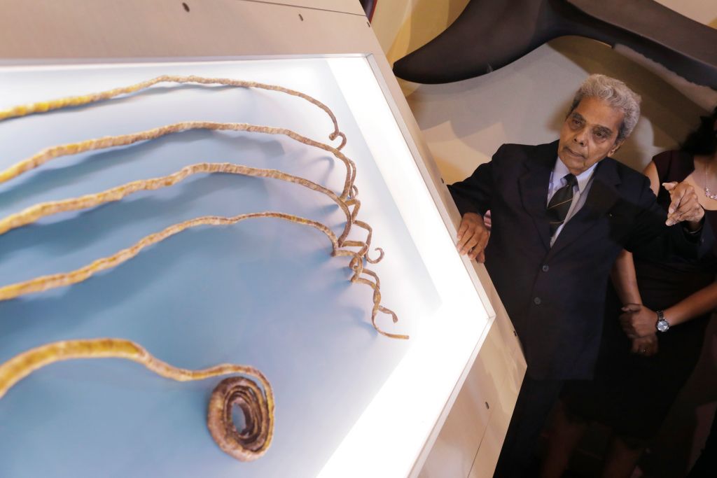 Τα μακρύτερα νύχια στον κόσμο εκτίθενται σε μουσείο της Νέας Υόρκης