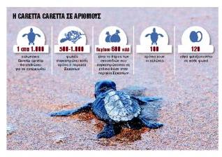 Οι χελώνες δίνουν μάχη επιβίωσης