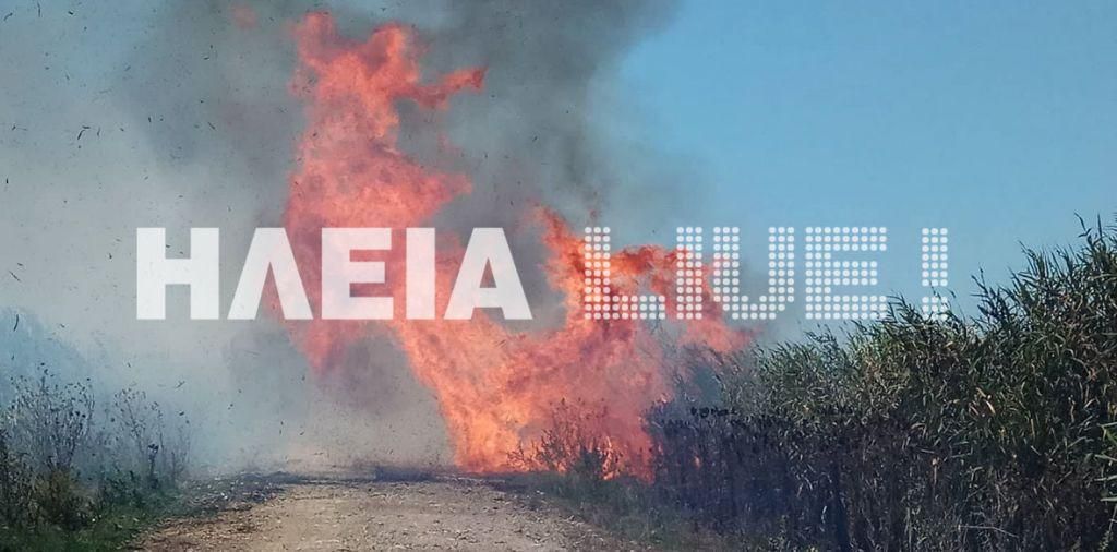 Υπό μερικό έλεγχο η πυρκαγιά στον Πύργο