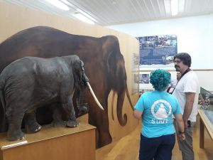 Υποψηφιότητα ένταξης στην UNESCO για το Γεώπαρκο Τηθύος