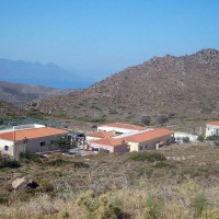 Ανησυχία για την κατάσταση στο Ελληνικό Κέντρο Περίθαλψης Αγριων Ζώων από 11 οργανώσεις